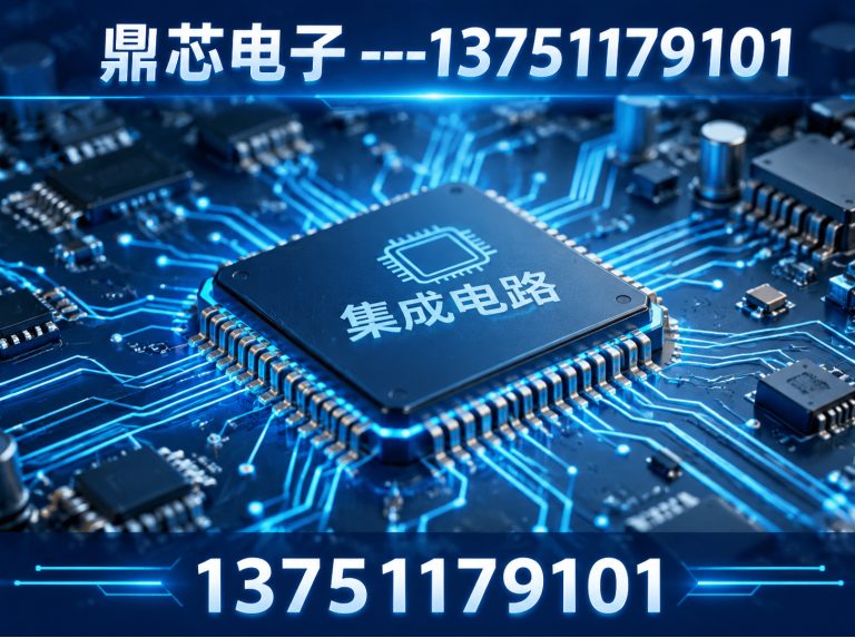 黑河鼎芯电子展示图